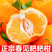 5斤正宗青见耙耙柑，支持一件代发，现摘现发，基地发往