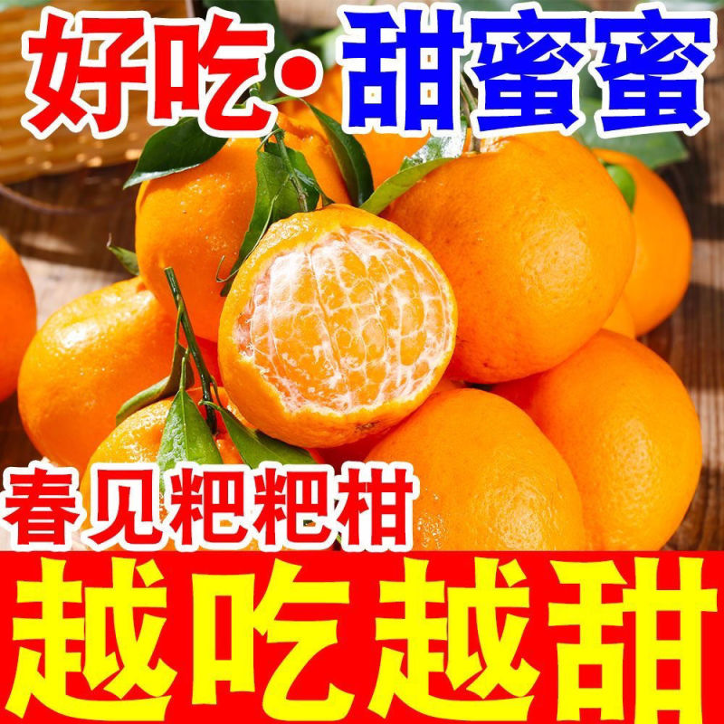 5斤正宗青见耙耙柑，支持一件代发，现摘现发，基地发往