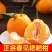 9斤正宗青见耙耙柑，支持一件代发，现摘现发，基地发往全国