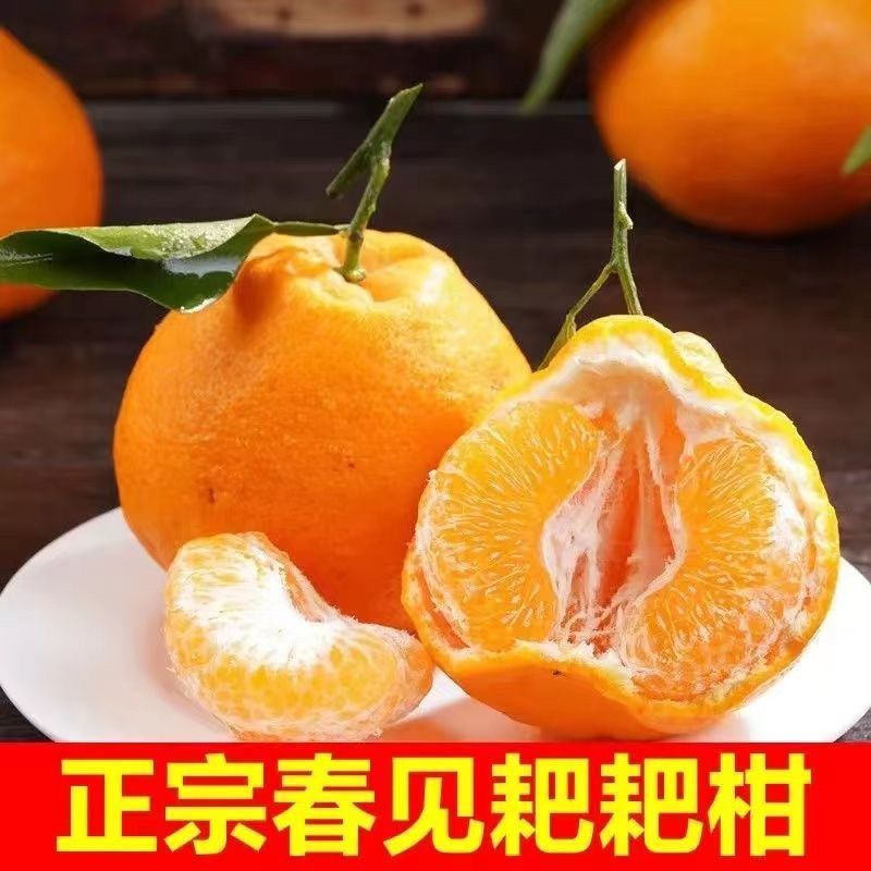 9斤正宗青见耙耙柑，支持一件代发，现摘现发，基地发往全国