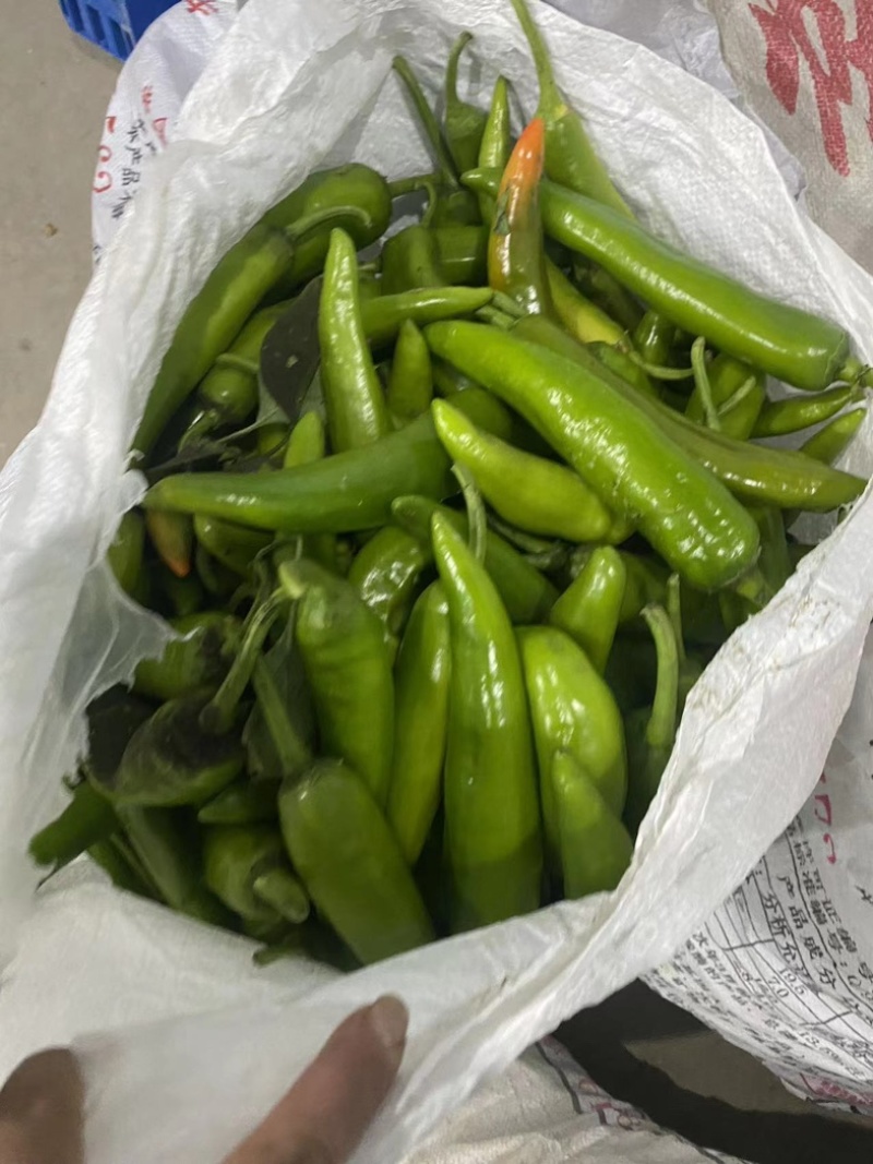 花长红