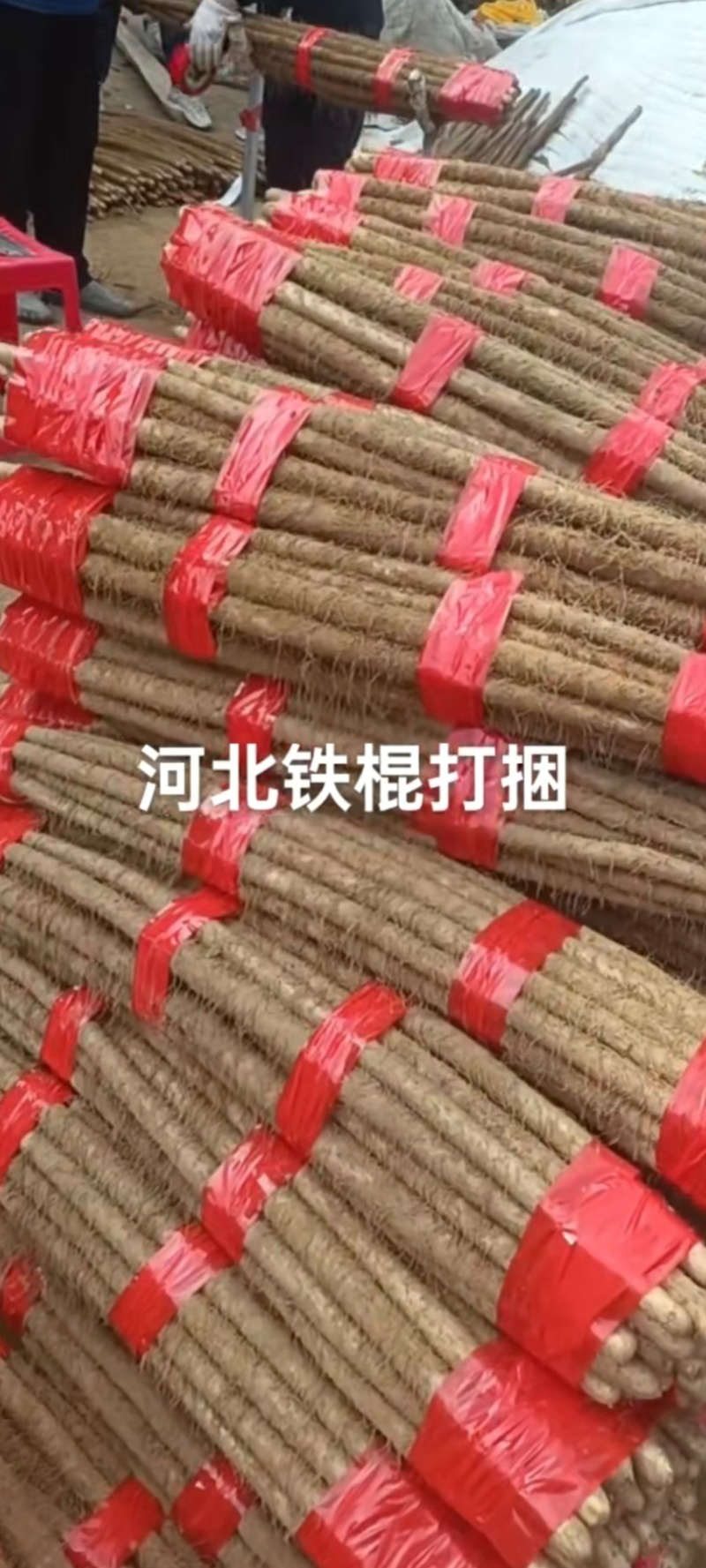 急售！铁棍山药！条形好！口感软糯粉香甜！可对接电商团购！