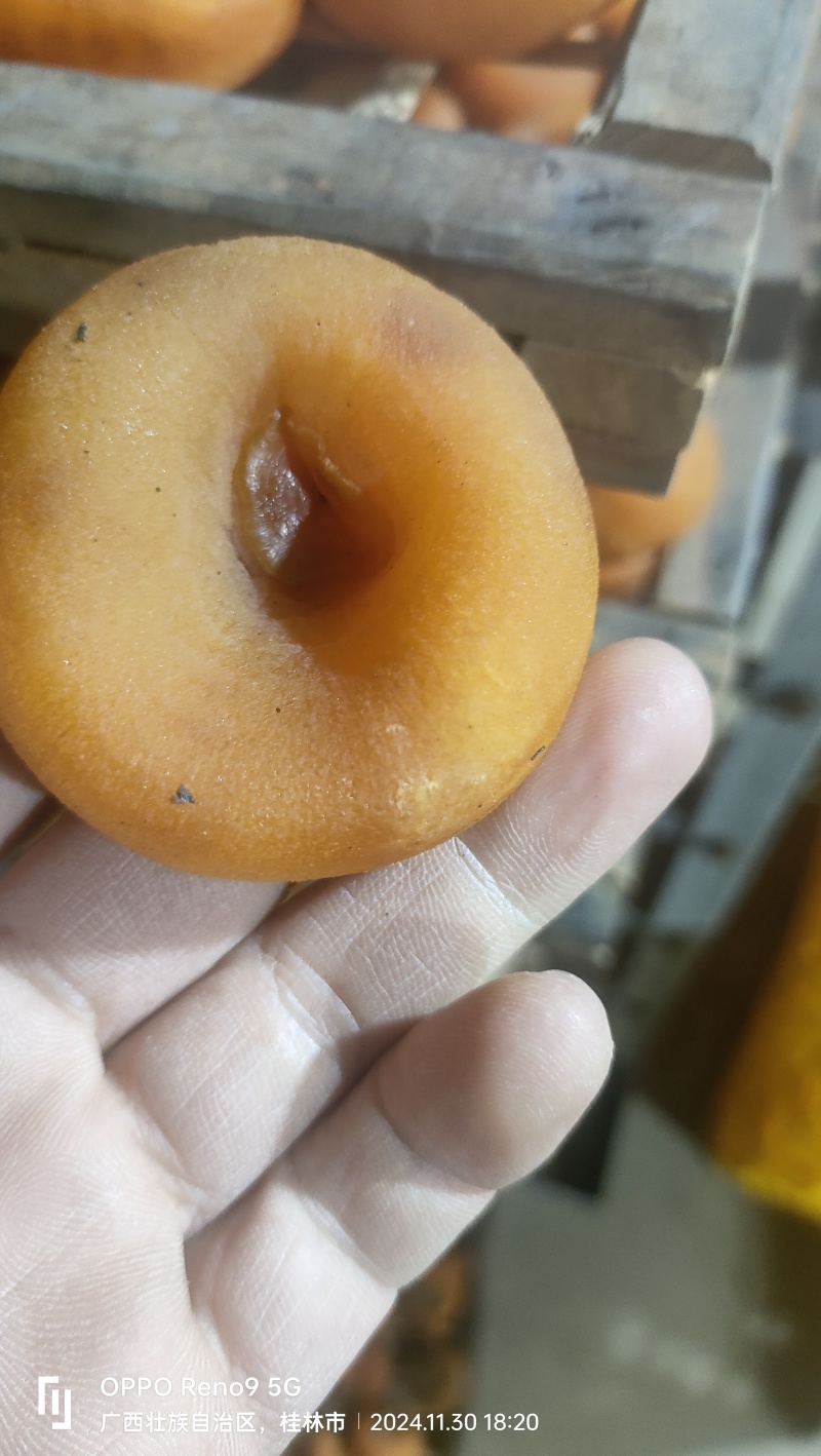 广西桂林平乐柿饼发货中，一件代发。微商，市场。
