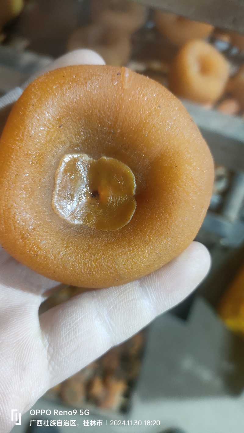广西桂林平乐柿饼发货中，一件代发。微商，市场。