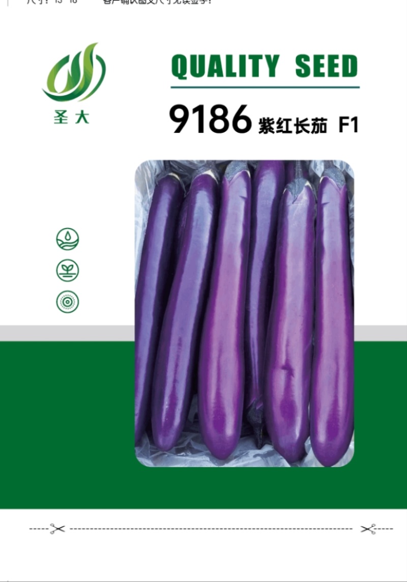 9186紫红长茄种子果皮深紫红色头尾匀称抗高温高产稳定