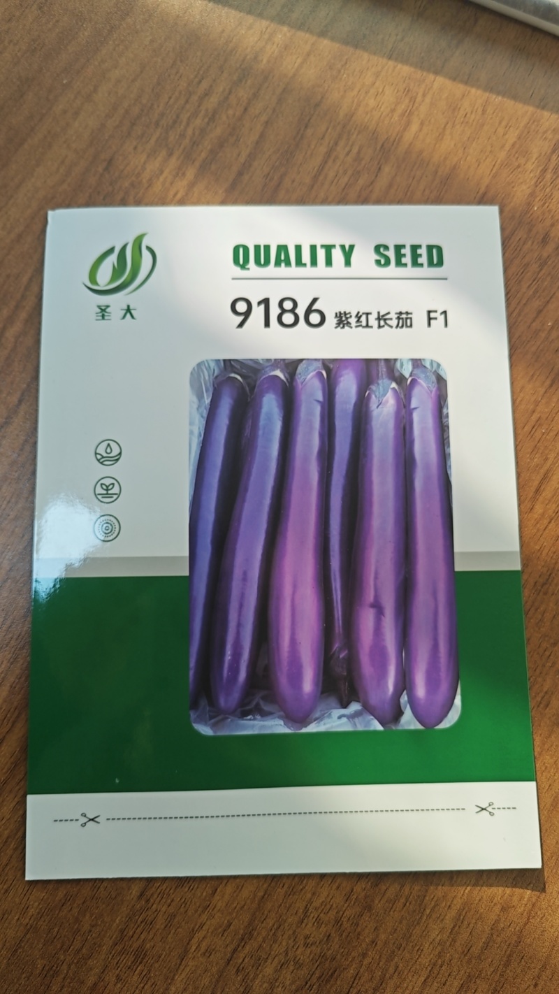 9186紫红长茄种子果皮深紫红色头尾匀称抗高温高产稳定