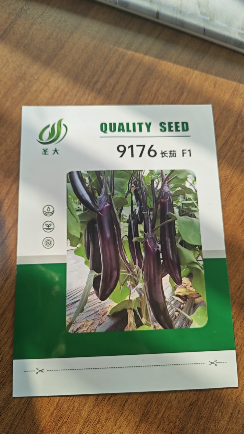 9176长茄种子紫萼片长茄种子蔬菜种子茄子种子口感软糯