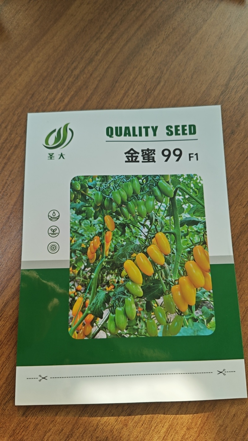 金蜜99黄花生圣女果种子