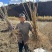 刺老包苗、刺嫩芽苗、乌龙头苗、绿裤刺嫩芽苗、基地发货