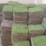 云南曲靖精品大灰苔藓植物本地野彩的人工大灰人工小灰支持全