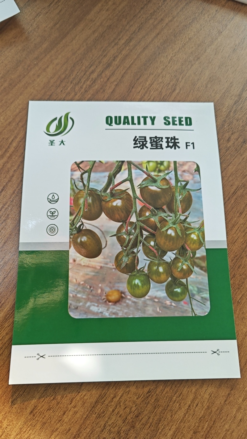 绿蜜珠圣女果种子口感香甜多汁花序多花量大产量高