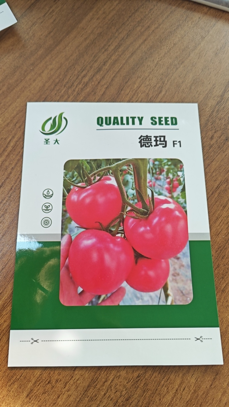 德玛粉果西红柿种子亮粉大果抗病毒四季可种颜色亮抗病强