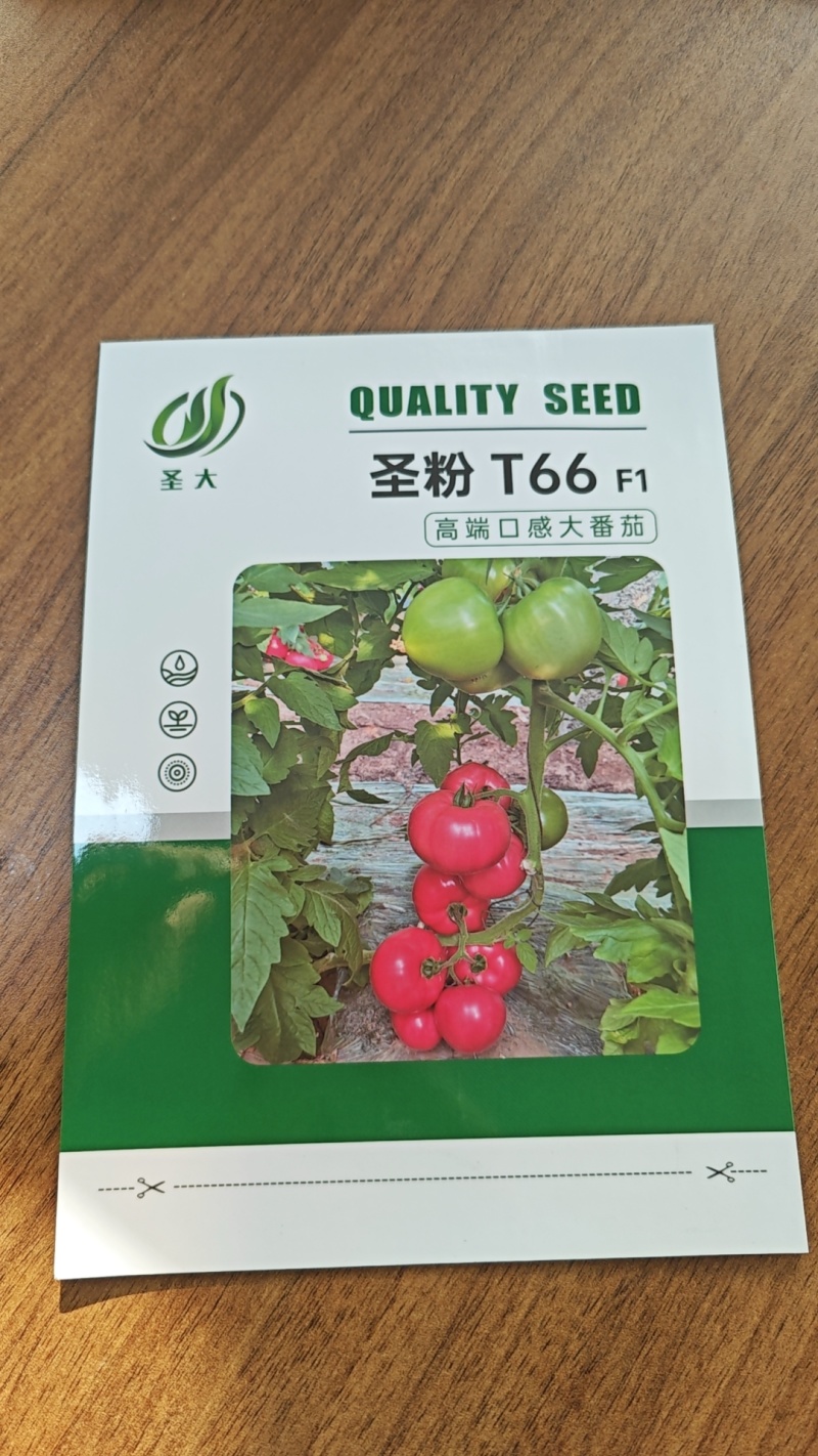 圣粉T66口感大粉果西红柿种子沙瓤抗病毒四季可种
