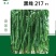 黑线217黑线椒种子深绿色厚皮辣味浓抗病强易管理