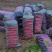 大量供应精品沙地红萝卜现挖鲜发质量有保全国发货