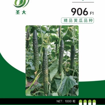 906密刺黑油亮黄瓜种子越夏耐热抗高温品种绿瓤短把