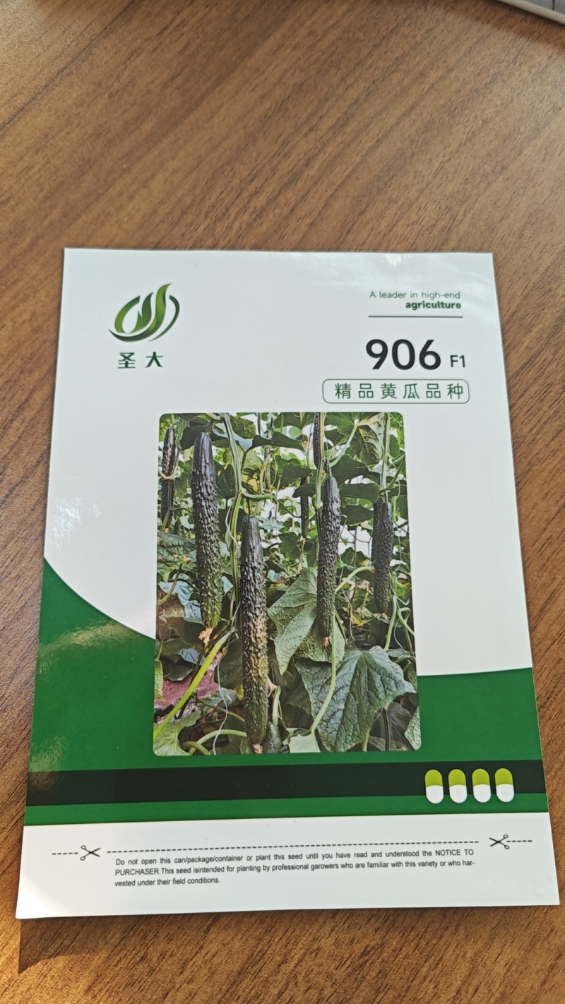 906密刺黑油亮黄瓜种子越夏耐热抗高温品种绿瓤短把