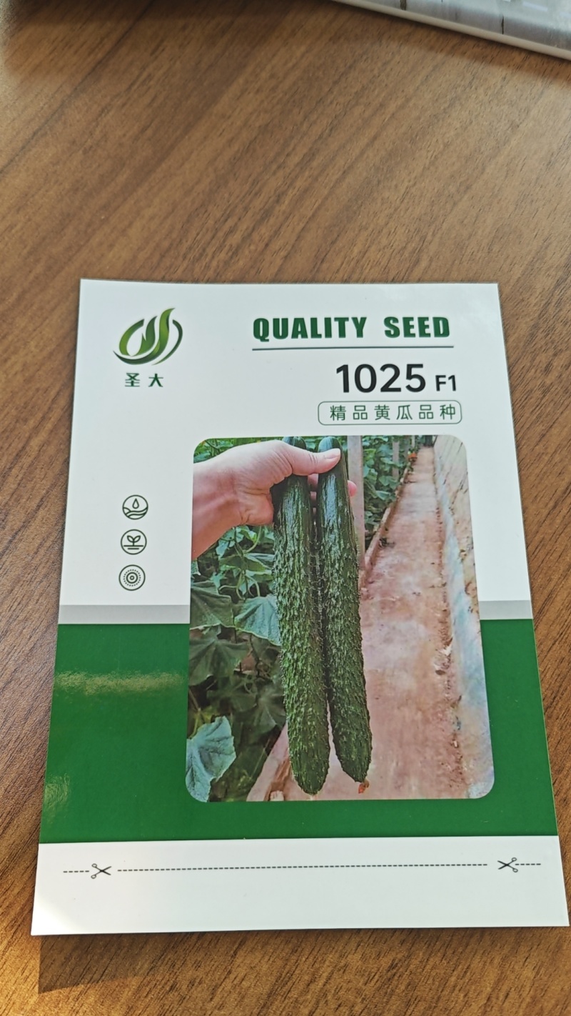 1025密刺黄瓜种子越冬耐寒密刺黑油亮绿瓤短把产量高