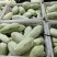 新鲜木瓜丝，天然无添加，爽口美味，健康佳品，适合凉拌酱菜