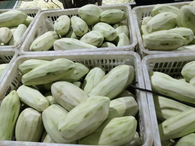 新鲜木瓜丝，天然无添加，爽口美味，健康佳品，适合凉拌酱菜