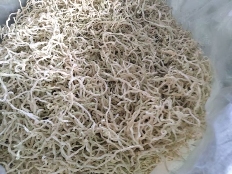 新鲜木瓜丝，天然无添加，爽口美味，健康佳品，适合凉拌酱菜