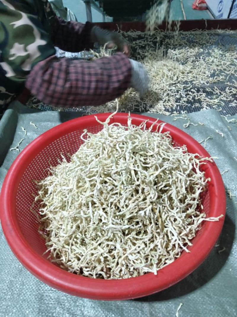 新鲜木瓜丝，天然无添加，爽口美味，健康佳品，适合凉拌酱菜