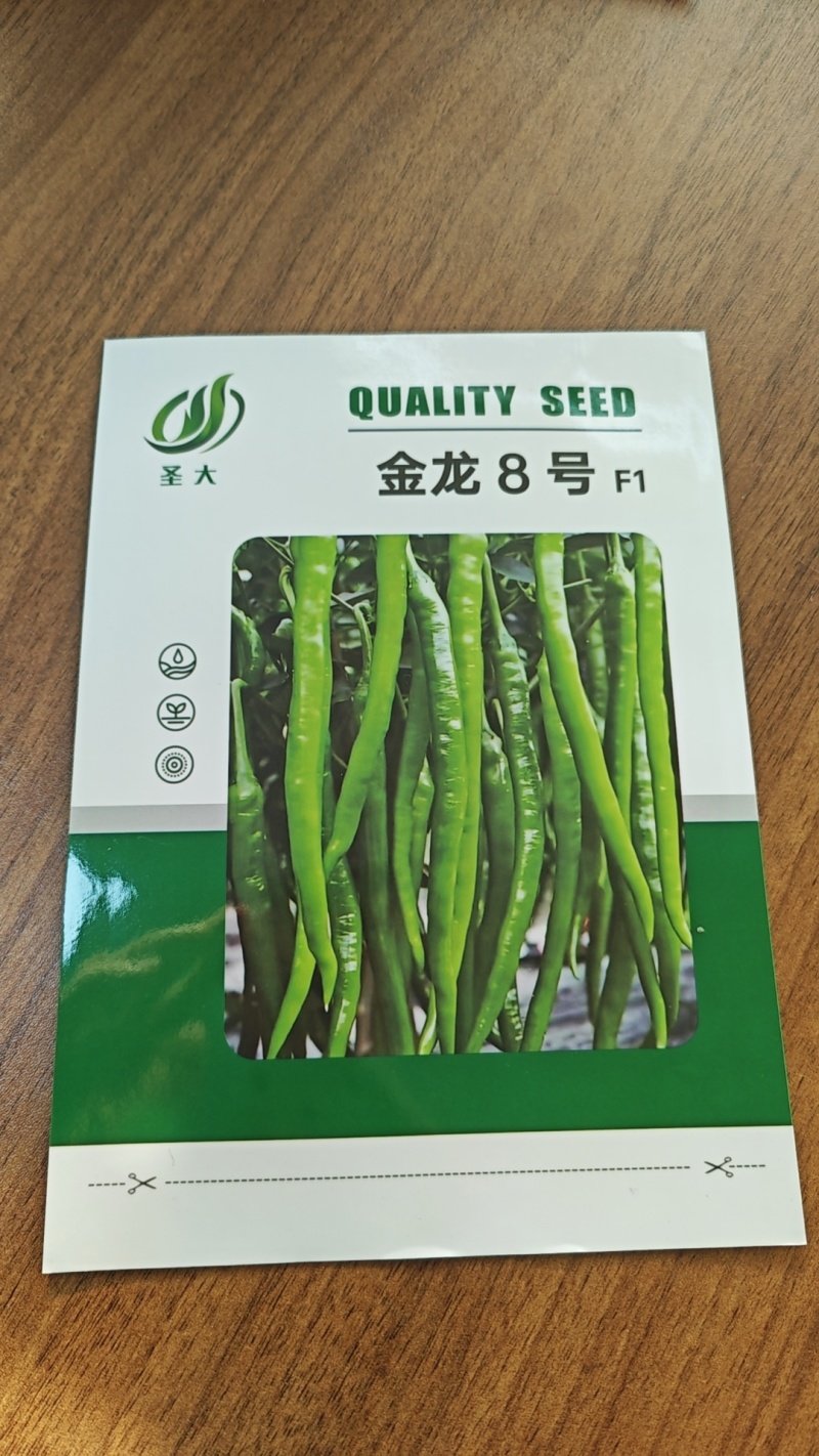 金龙8号黄线椒种子浅绿色薄皮香辣口感好抗病毒四季可种