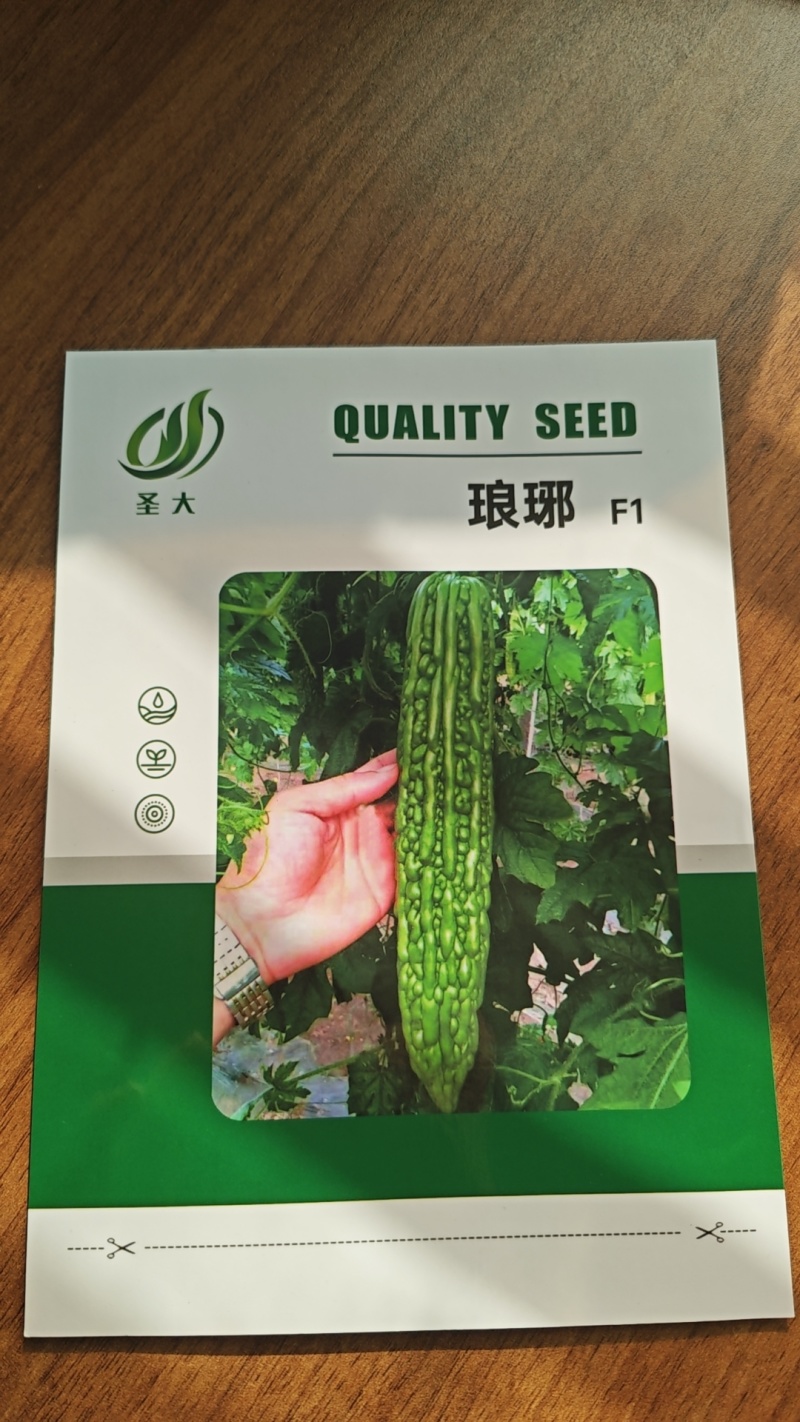 苦瓜种子绿亮苦瓜种子琅琊苦瓜种子