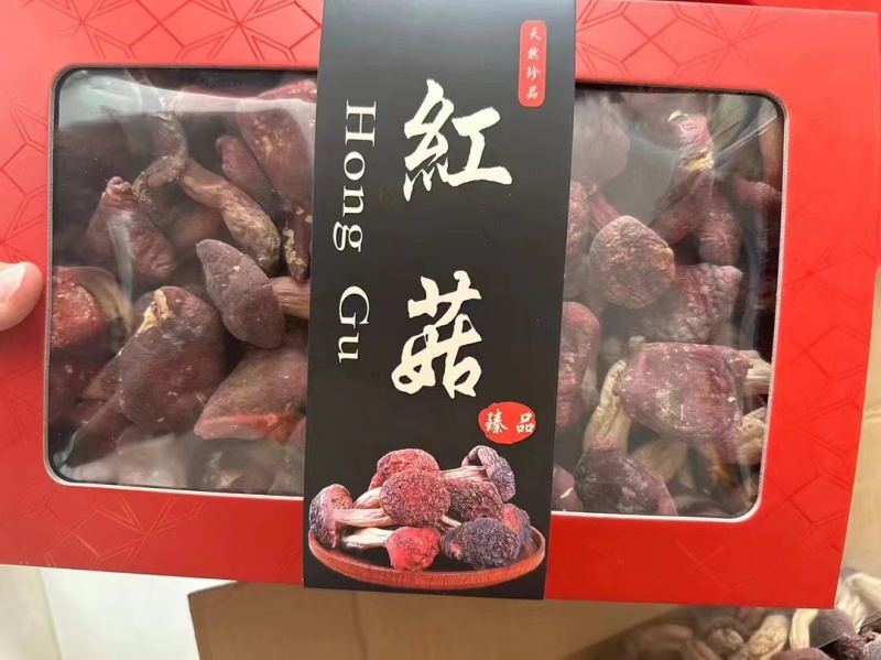 红菇
