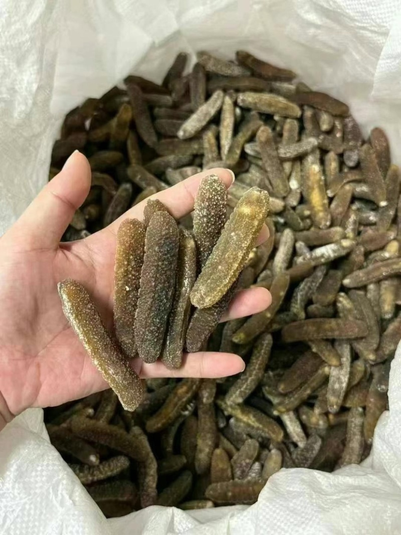 海参沙秃参非洲秃参黄金秃参金沙参淡干品质滋补食材送礼佳品