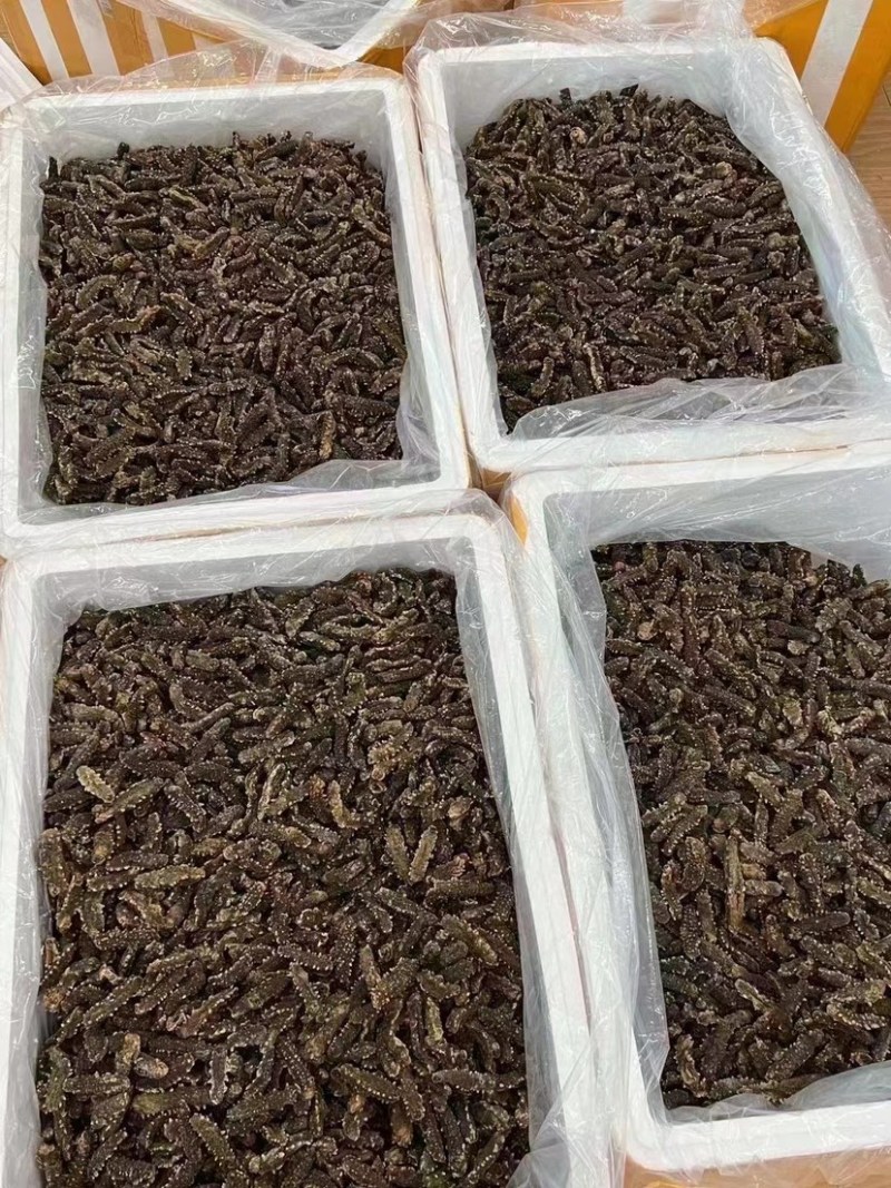 海参黑刺参辽参黑色刺参大连刺参刺王参小刺参酒店食材