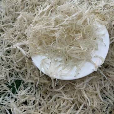 小银鱼干