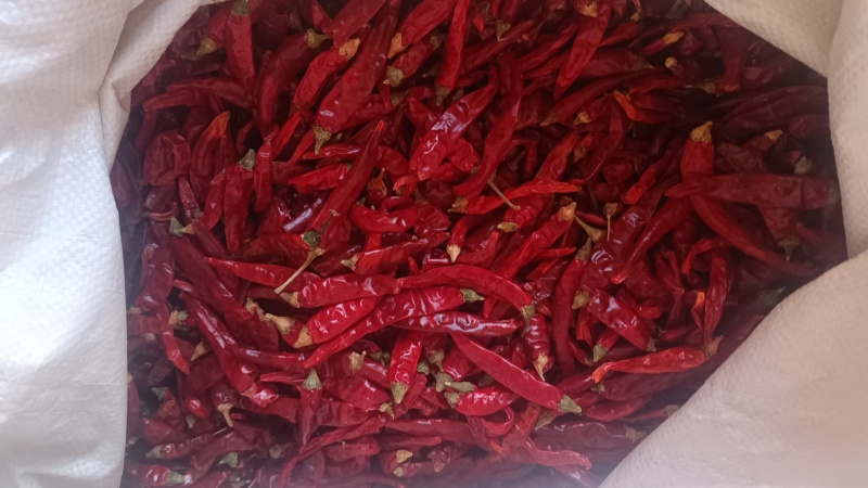 花皮，干辣椒花皮