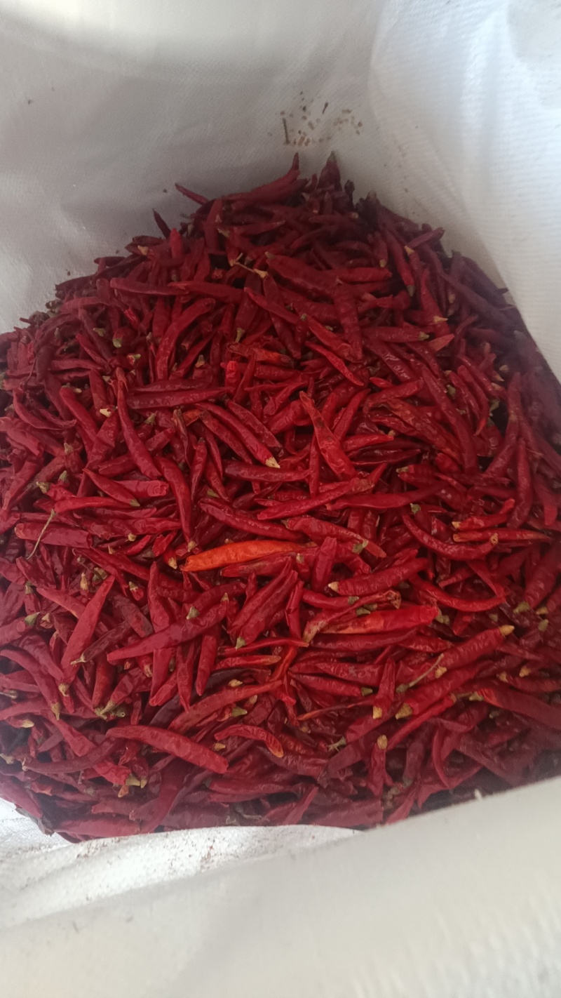 花皮，干辣椒花皮