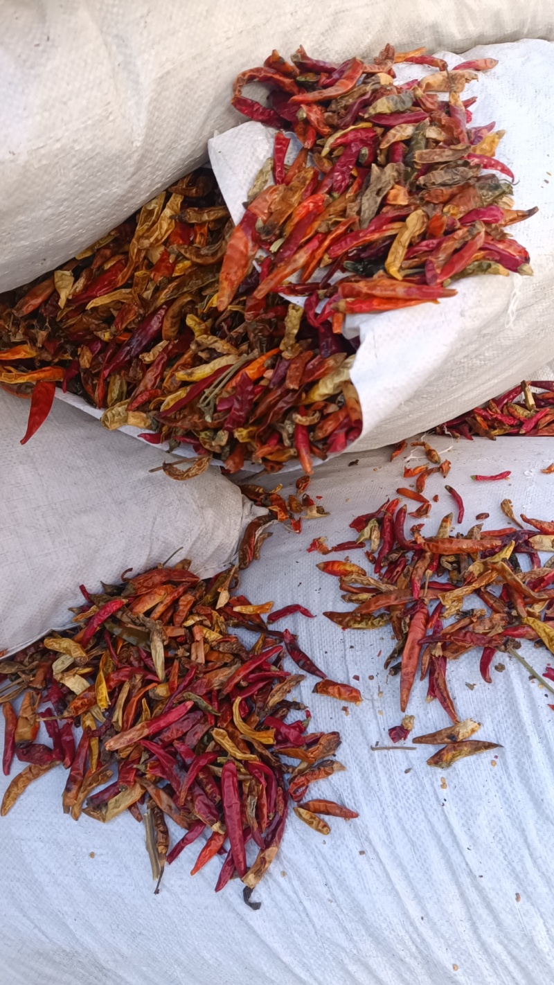 花皮，干辣椒花皮