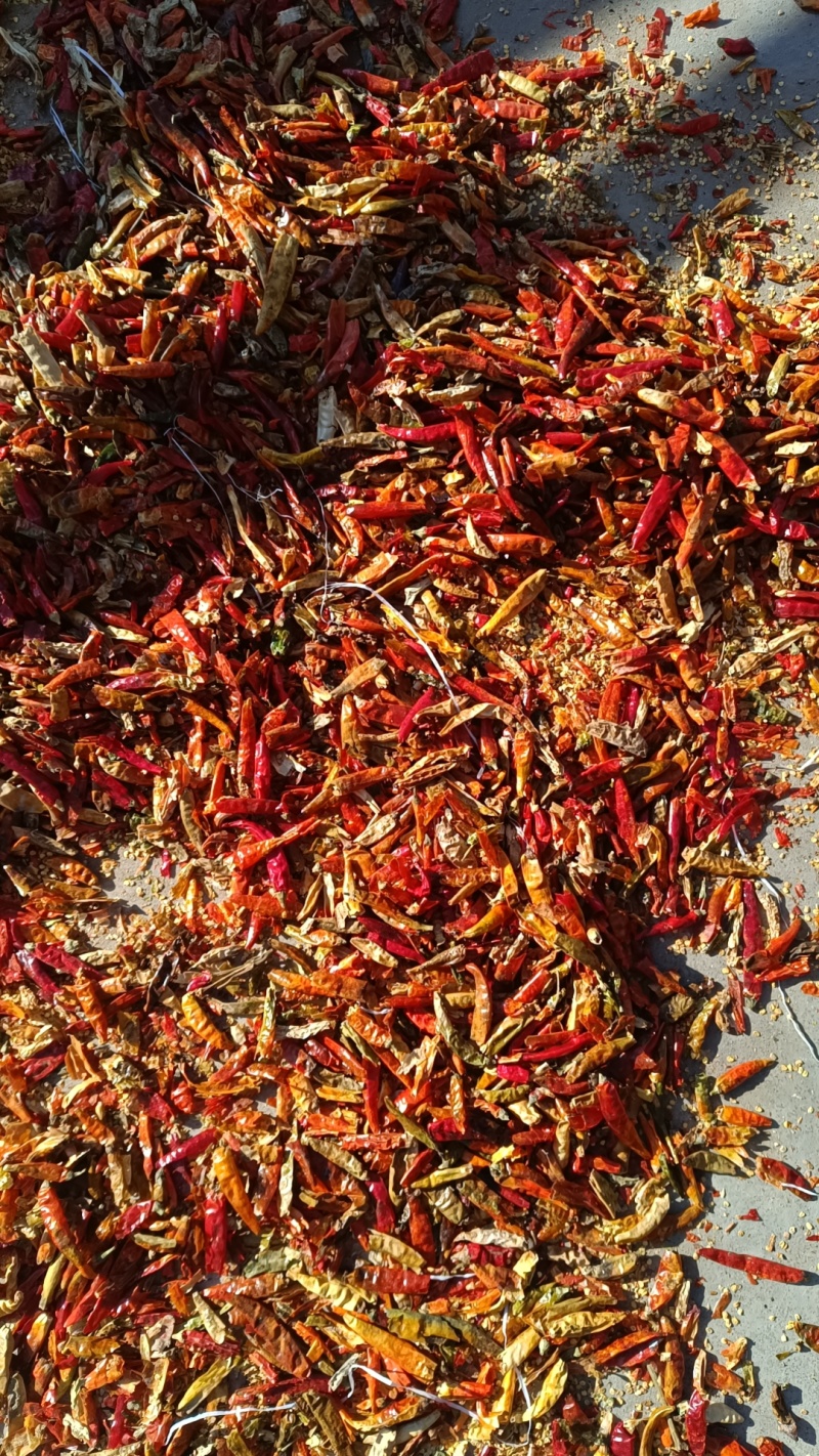 花皮，干辣椒花皮