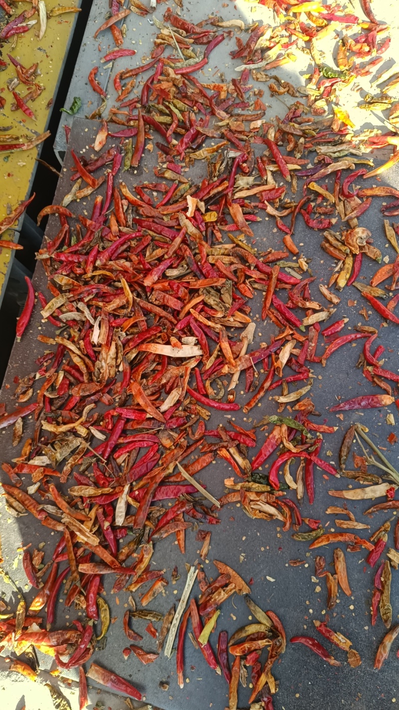 花皮，干辣椒花皮