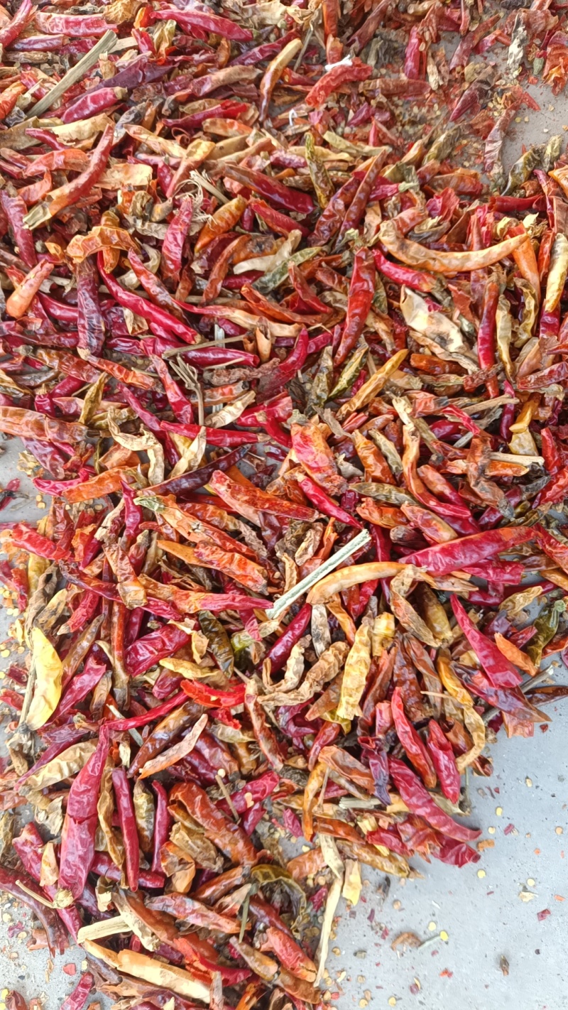 花皮，干辣椒花皮