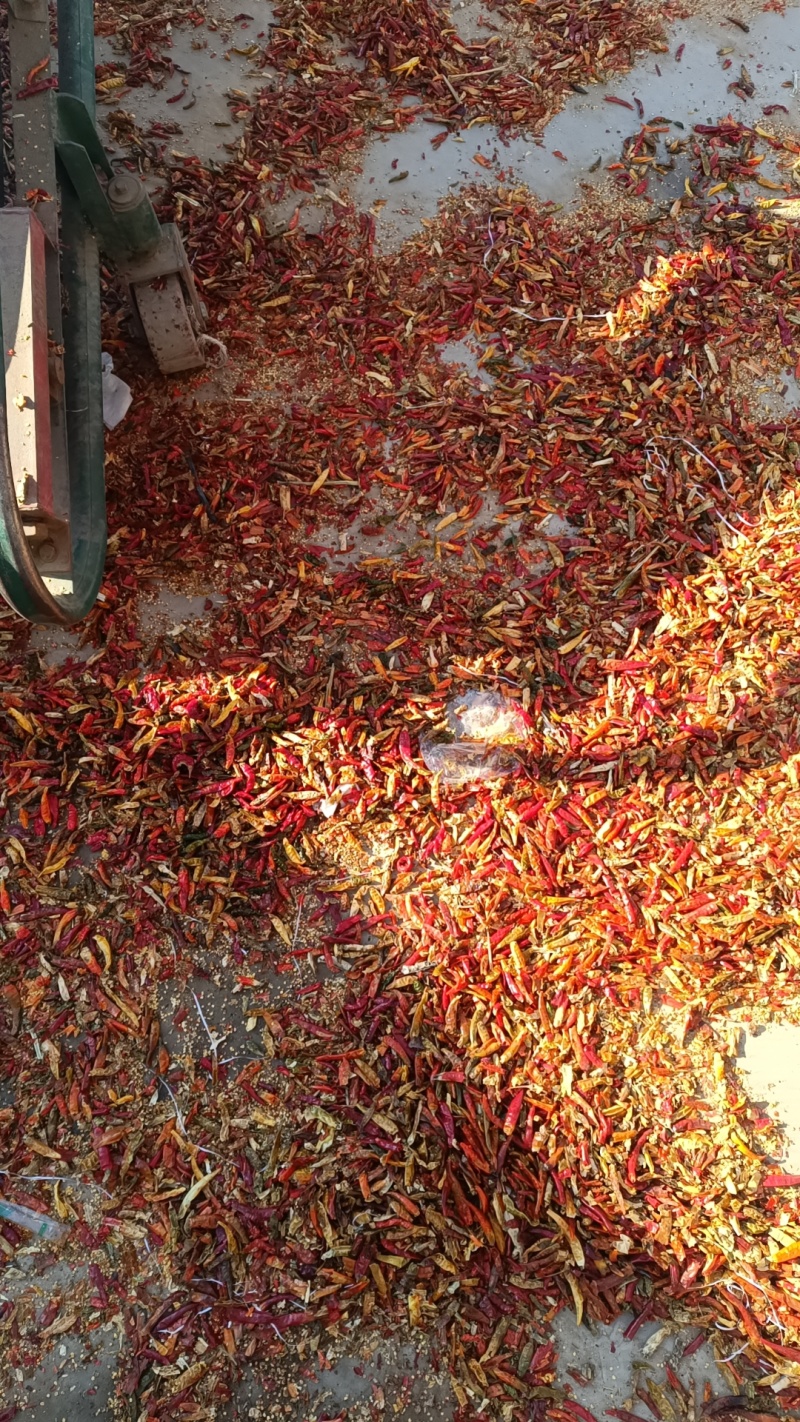 花皮，干辣椒花皮