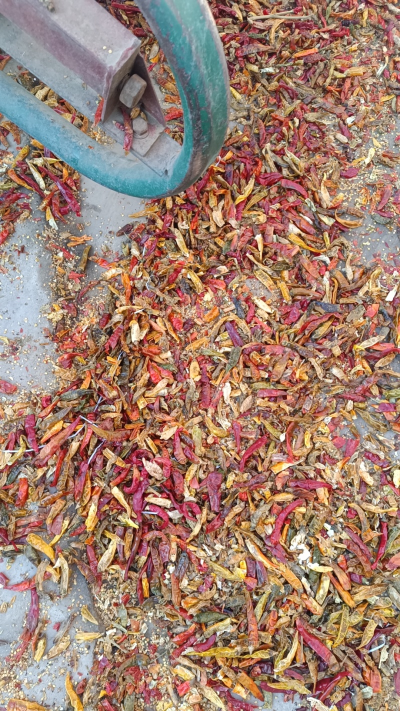 花皮，干辣椒花皮