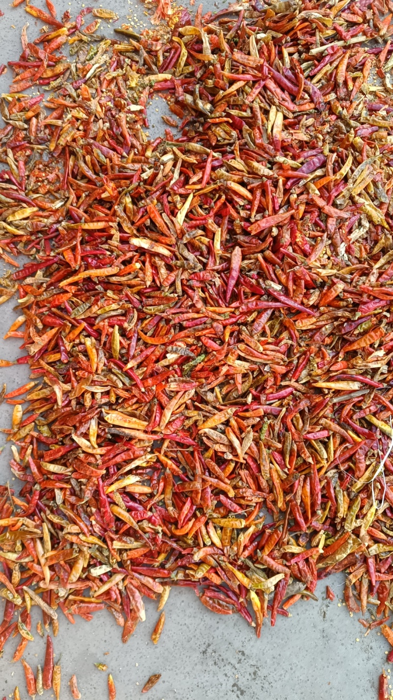 花皮，干辣椒花皮