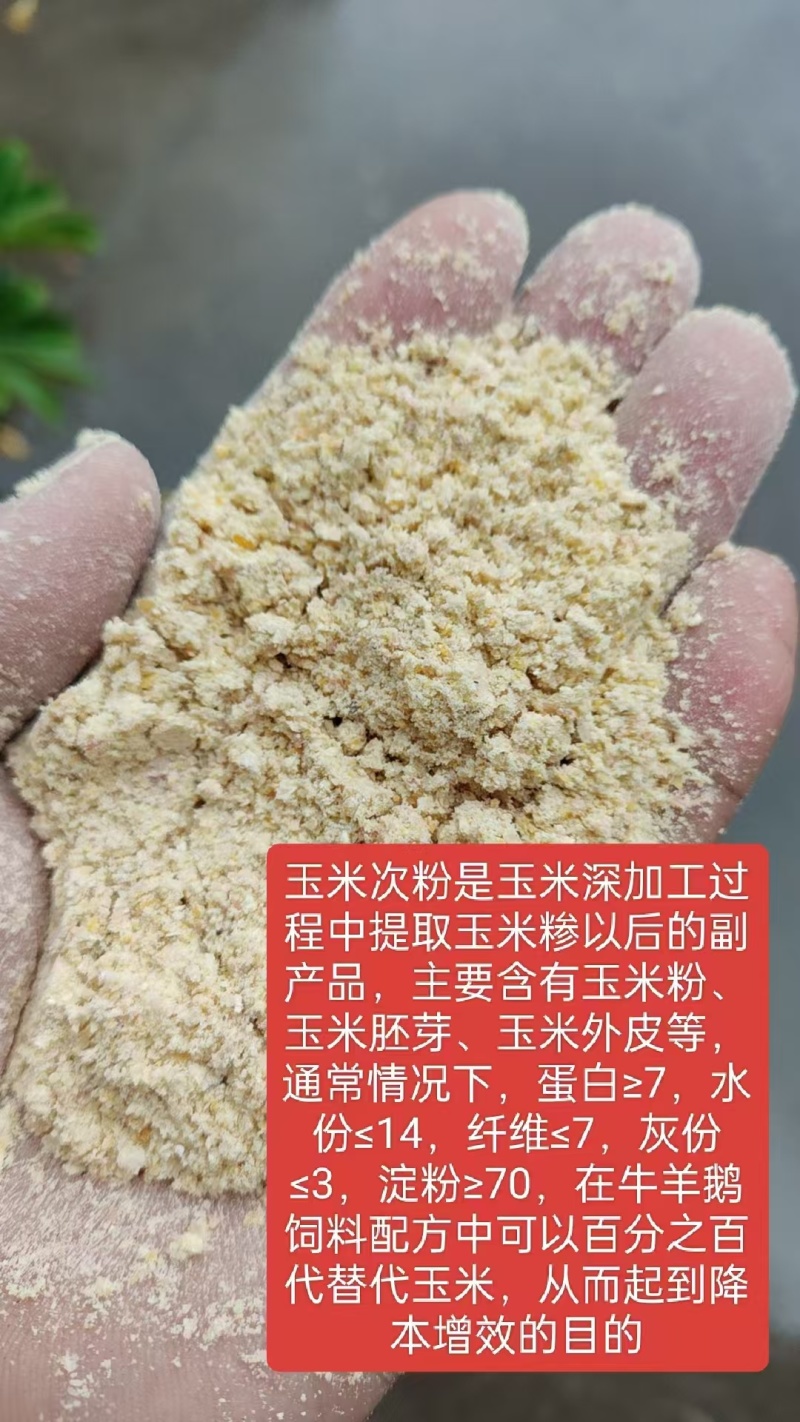 玉米粉做玉米粥下来的玉米粉饲料厂和养殖场好产品