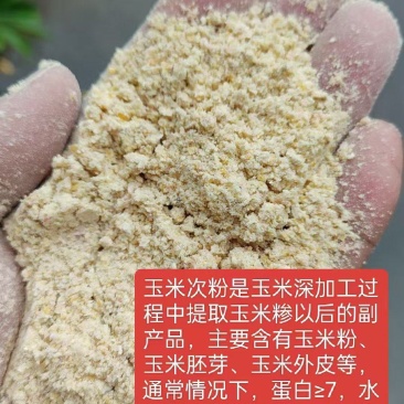玉米粉做玉米粥下来的玉米粉饲料厂和养殖场好产品