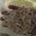 优质大片葫芦瓜子大美瓜子产地直发量大质优可视频看货