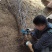 苹果树苗品种烟富苹果苗批发嫁接矮化苹果苗育苗基地