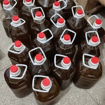 江西赣州山茶油天然物理压榨茶油农家老树山茶籽油