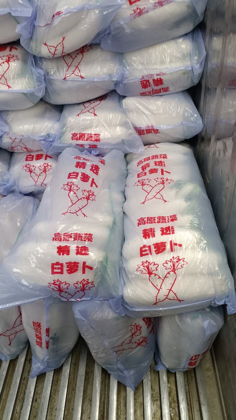 精品白萝卜大量上市，全国发货，可视频看货，量大从优