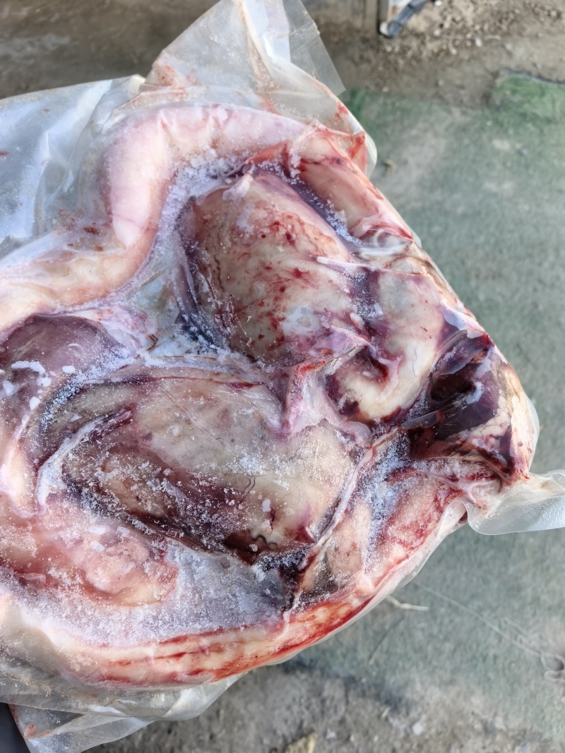牛鞭宝