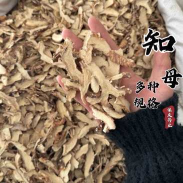 【货对版正品】知母毛知母知母片光知母知母肉