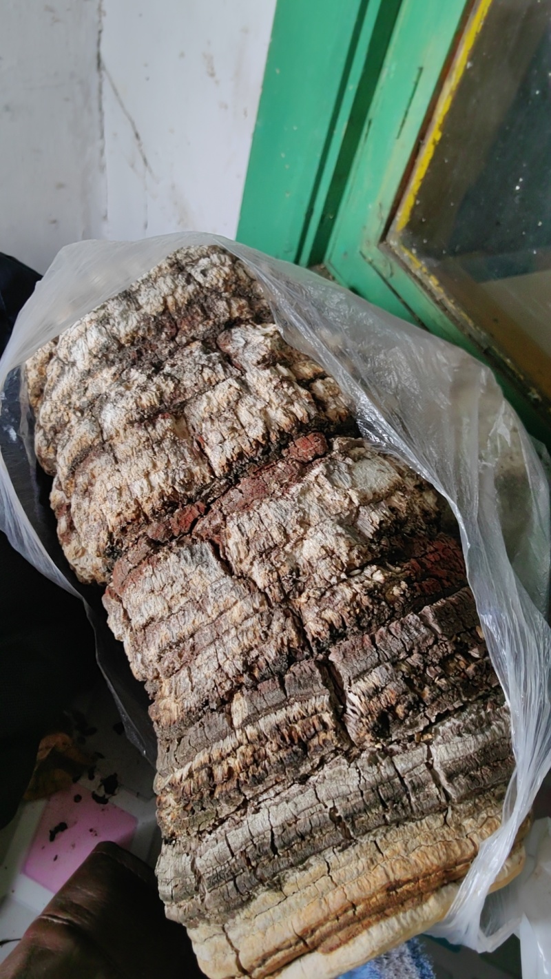 德艺山产品专业合作社经营11年中草药大货专营原产地直销
